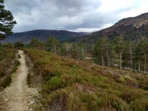 Glen Derry,Cairngorms