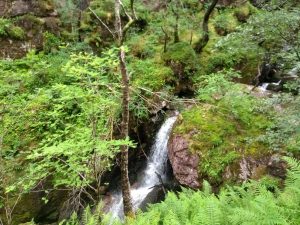 Lost Valley,Glencoe